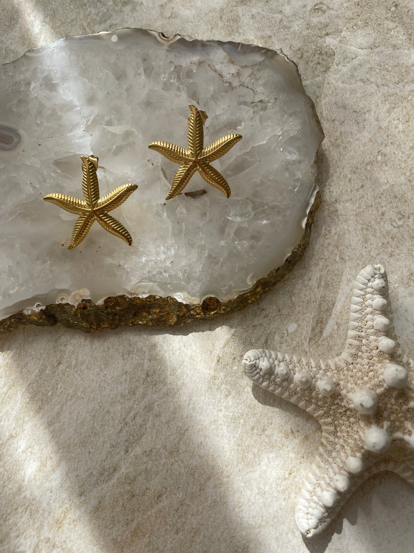 Pippa Starfish Stud Earring Gold