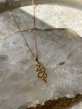 Load image into Gallery viewer, Snake &amp; Snake Coin Necklace Gold - Stack
