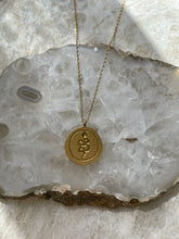 Load image into Gallery viewer, Snake Coin Necklace Gold

